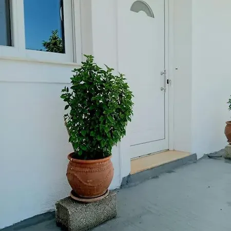 Boyzianas Apartment *