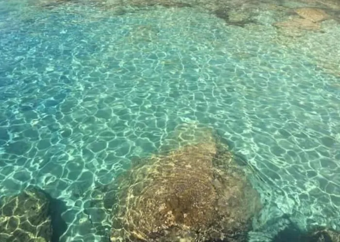 Boyzianas *